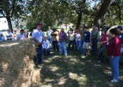 RMU Attendees learning how to collect hay samples for analysis.