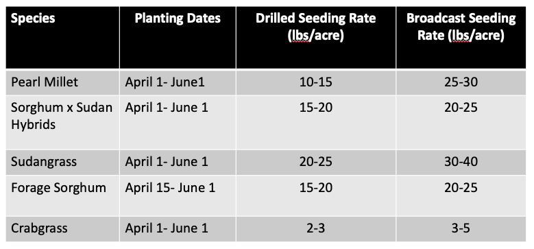 Planting dates and seeding rates for selected warm season annual grasses